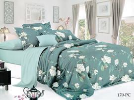 КПБ 1,5сп поплин Pure Cotton PC Клео <PC-170>